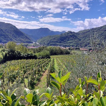 Agriturismo Tenuta La Fratta Баньї-ді-Лукка Екстер'єр фото