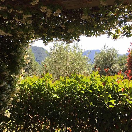 Agriturismo Tenuta La Fratta Баньї-ді-Лукка Екстер'єр фото