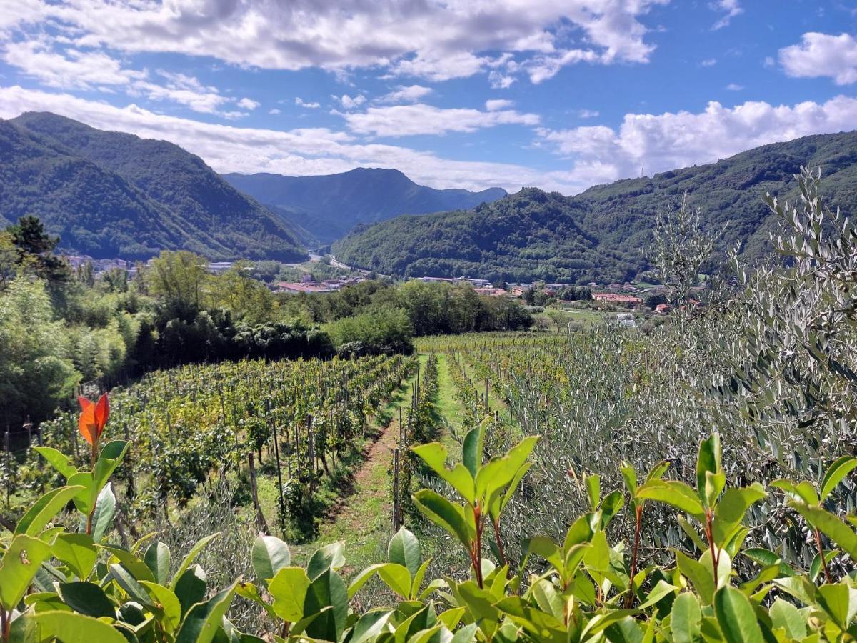 Agriturismo Tenuta La Fratta Баньї-ді-Лукка Екстер'єр фото
