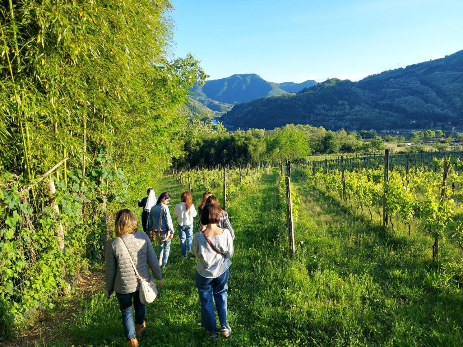 Agriturismo Tenuta La Fratta Баньї-ді-Лукка Екстер'єр фото