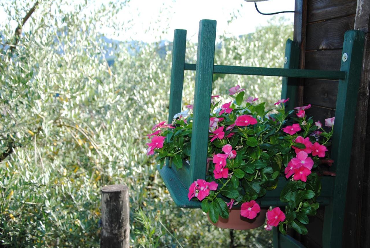 Agriturismo Tenuta La Fratta Баньї-ді-Лукка Екстер'єр фото