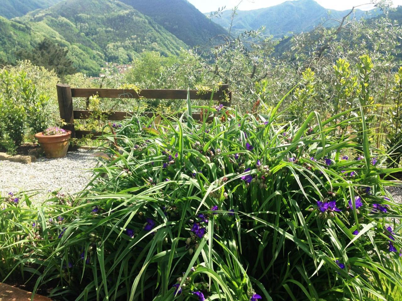 Agriturismo Tenuta La Fratta Баньї-ді-Лукка Екстер'єр фото