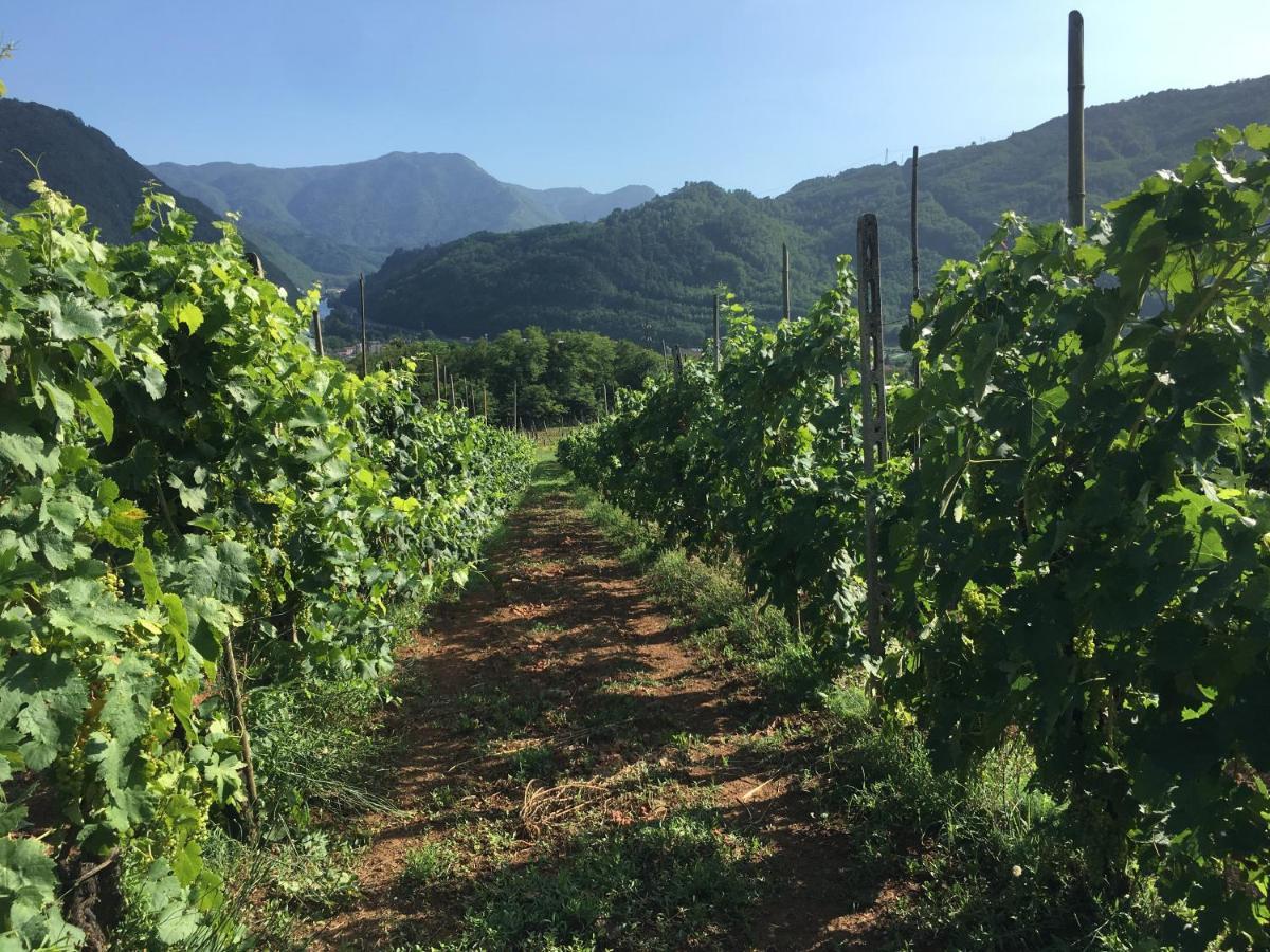 Agriturismo Tenuta La Fratta Баньї-ді-Лукка Екстер'єр фото